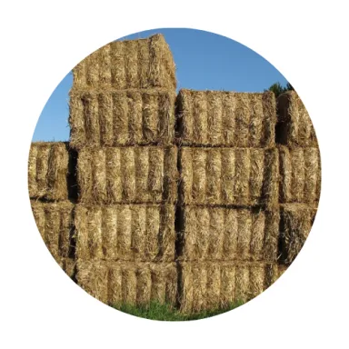 Pacas de paja atadas con cuerda para empacadoras
